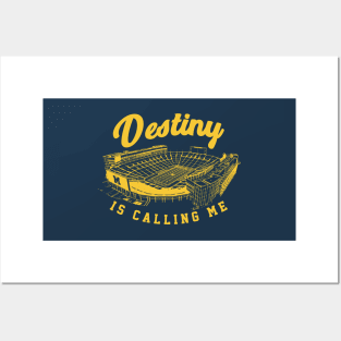 Destiny is calling me Posters and Art